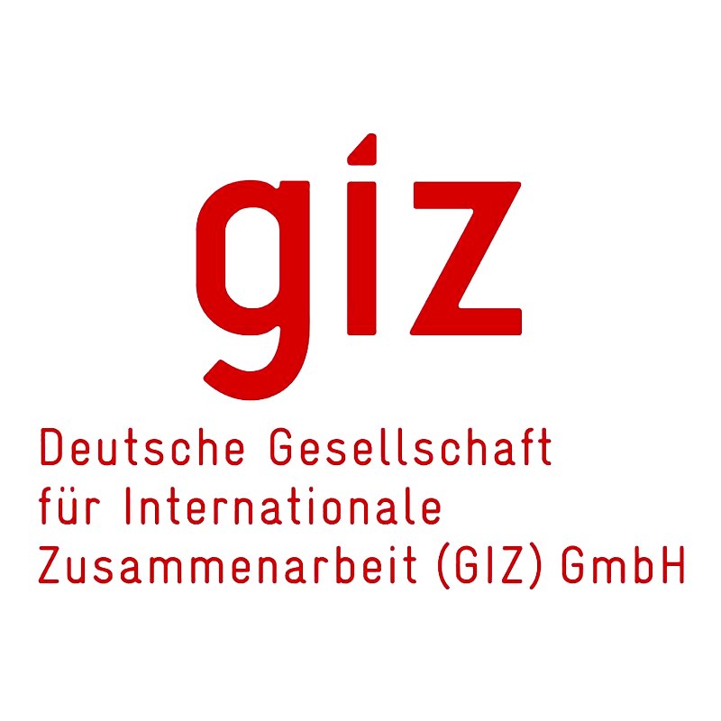 15_GIZ_logo
